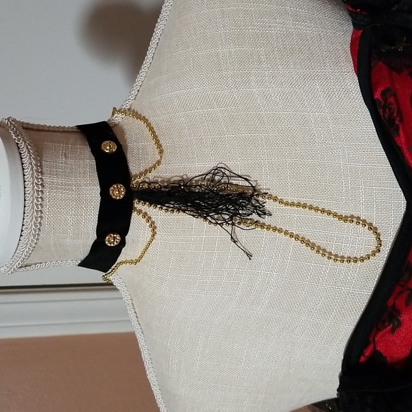 Costume, Rouge Dancer . Adults size 8 - Picture 4 of 5